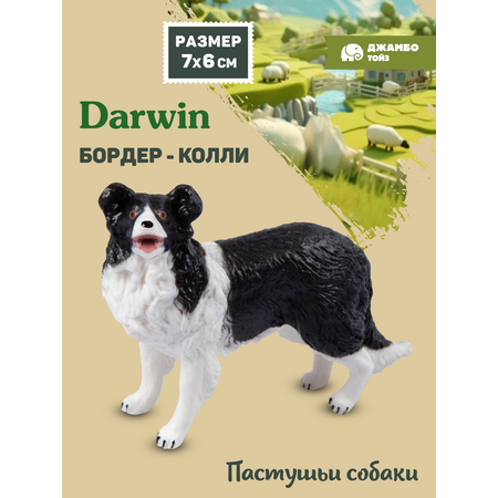 Фигурка DARWIN Собака Бордер-колли