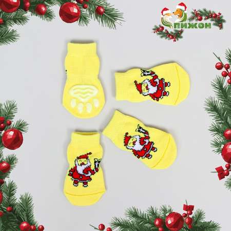 Носки Пижон