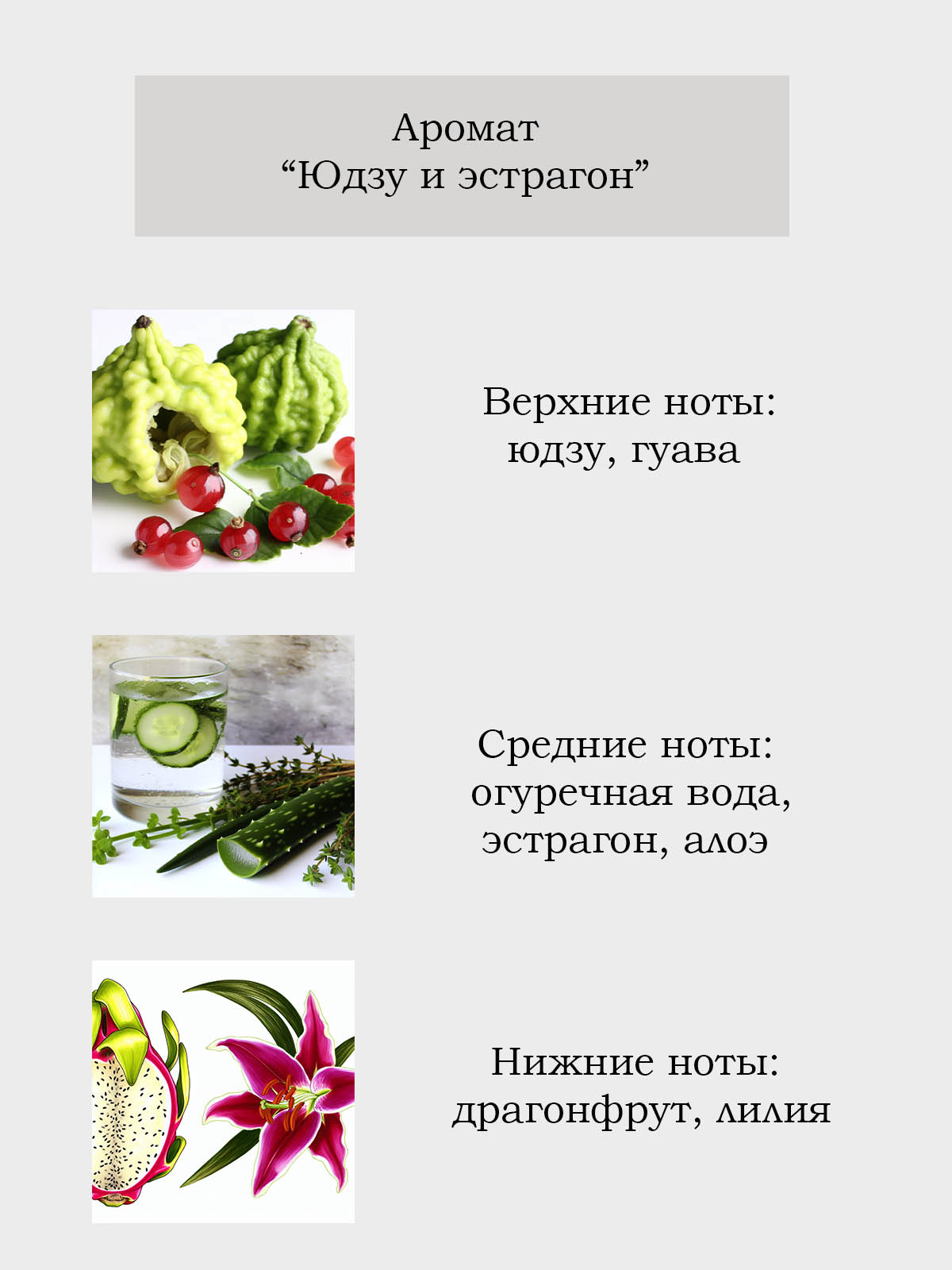 Диффузор для дома с палочками Plates and More Юдзу и эстрагон 100 мл - фото 2