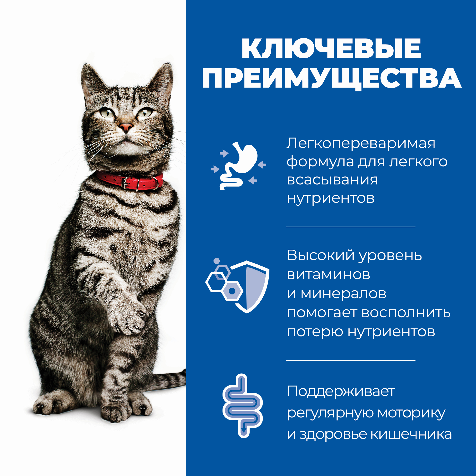 Корм для кошек HILLS 85г Prescription Diet i/d Digestive Care диетический при расстройствах пищеварения ЖКТ с курицей - фото 3