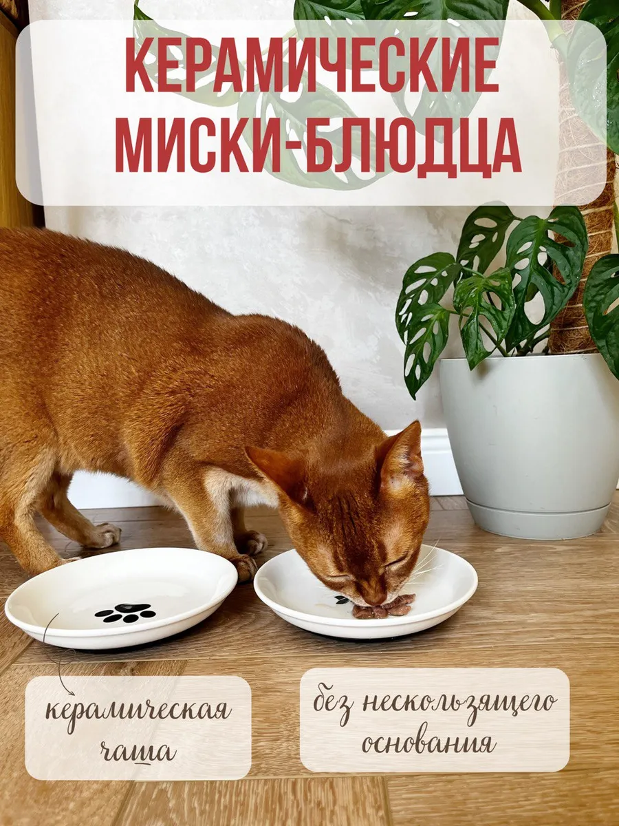 Миска керамическая Qalla блюдца 2 шт. - фото 1