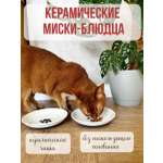 Миска керамическая Qalla блюдца 2 шт.