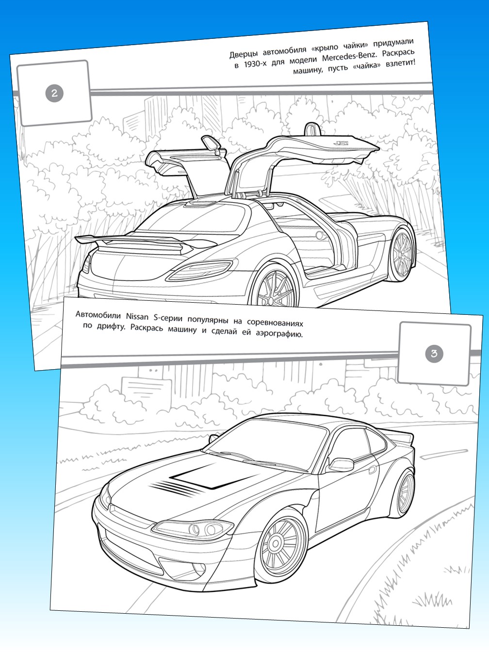 Комплект ИД Лев SuperDrive Раскраски с наклейками 2 шт - фото 4