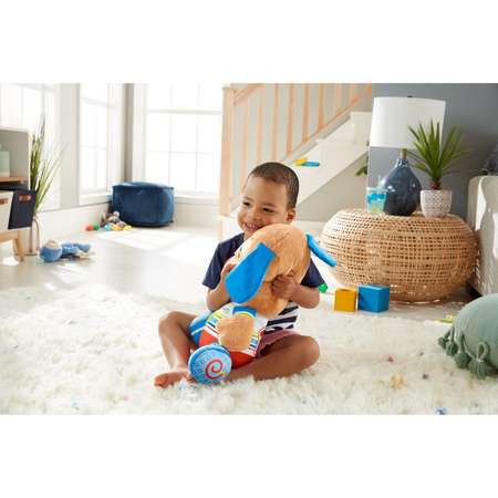 Игрушка Fisher Price