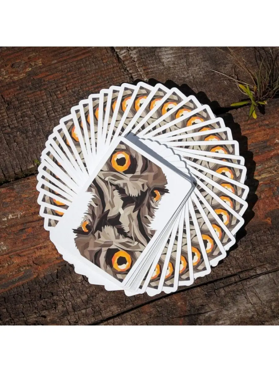 Настольная игра The US Playing Card Company - фото 3