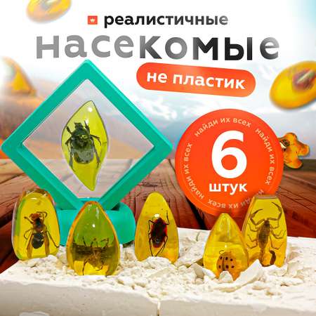 Набор для раскопок SHARKTOYS Насекомые в янтаре
