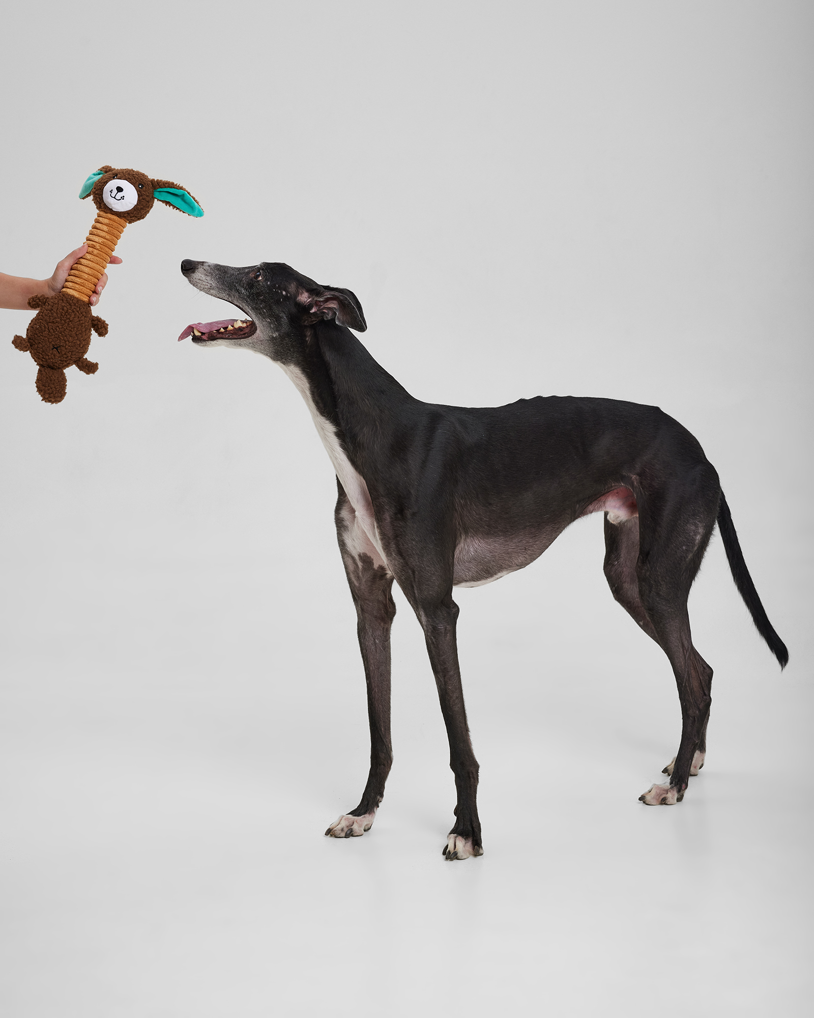 Игрушка для собак Barbaks Заяц-длинношей хрустит шуршит гудит 43см - фото 4