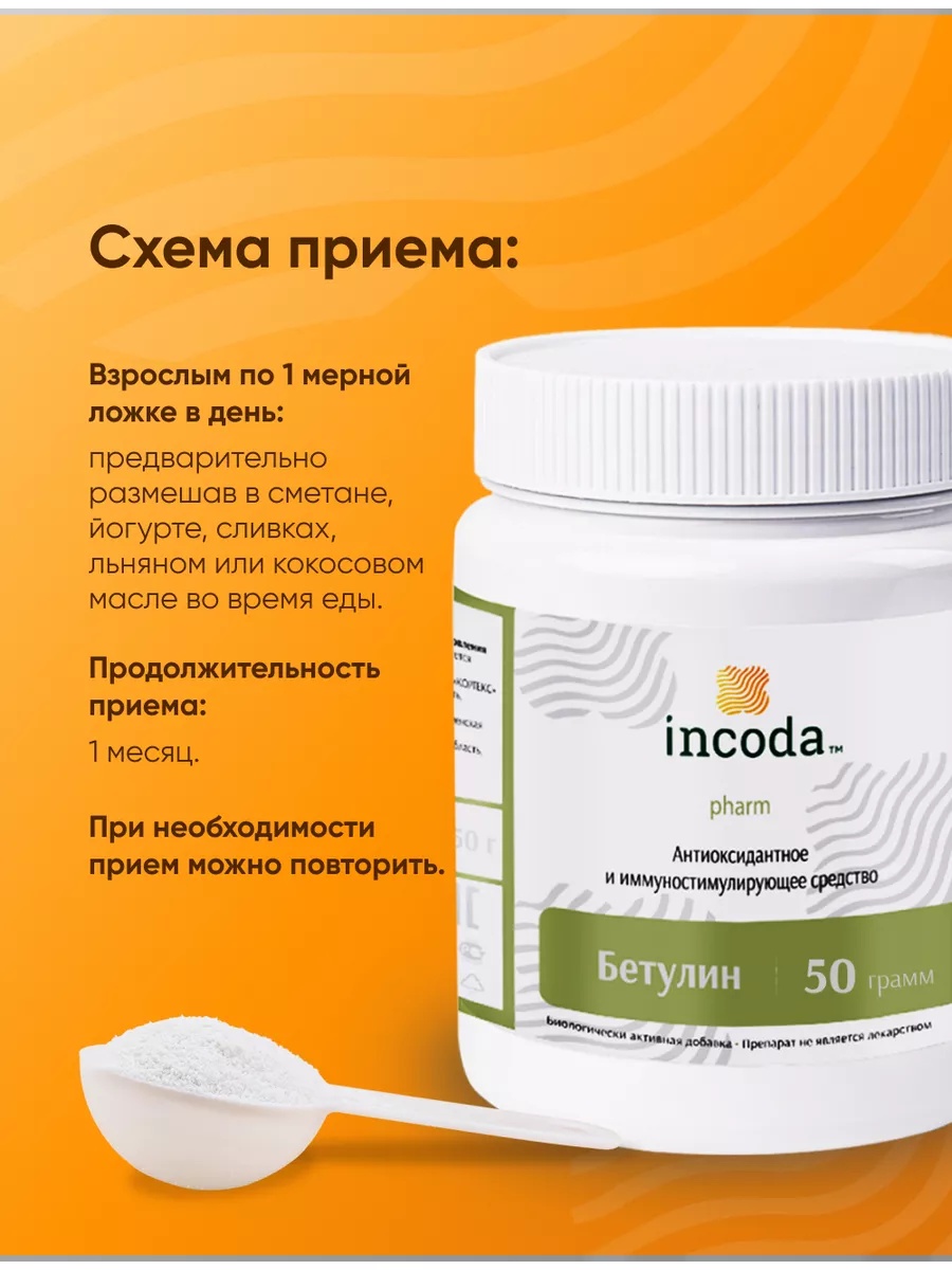Бетулин 50 Incoda чистка печени и сосудов, от холестерина, 50 гр - фото 3