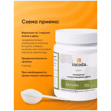 Бетулин 50 Incoda чистка печени и сосудов, от холестерина, 50 гр