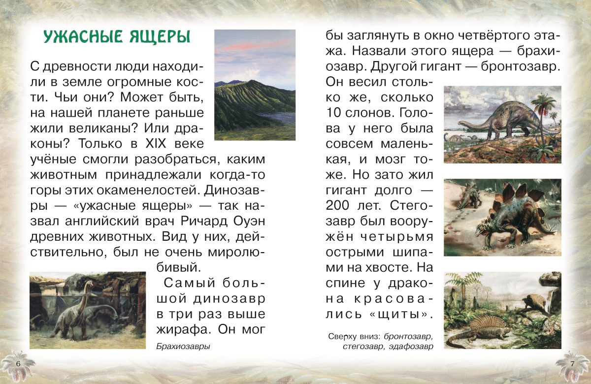 Книга Белый город Животные Земли: прошлое и будущее - фото 3