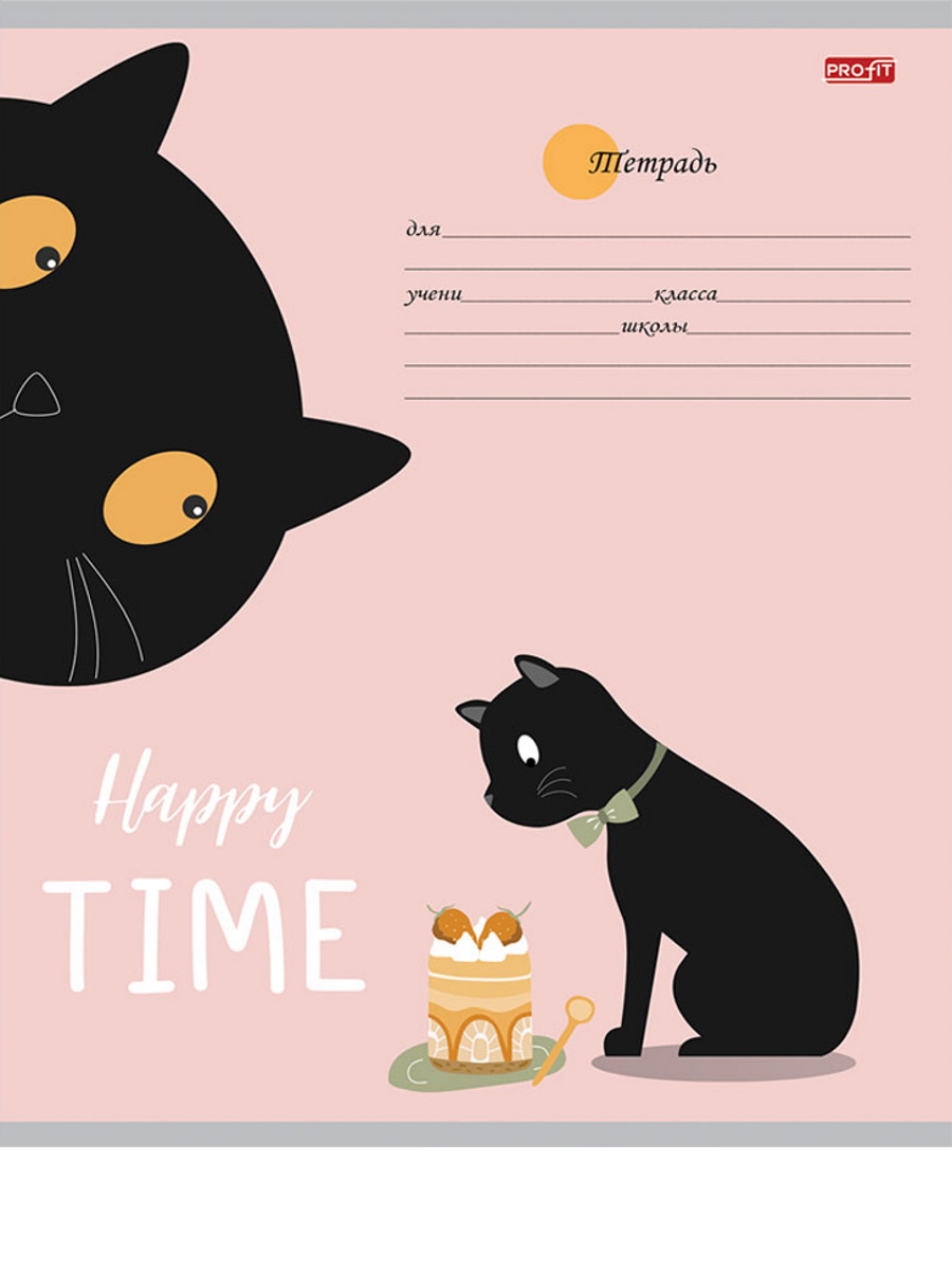 Тетрадь Profit линейка 24 лист. 20 шт. - фото 7