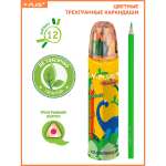 Карандаши цветные Y-plus 12 шт.