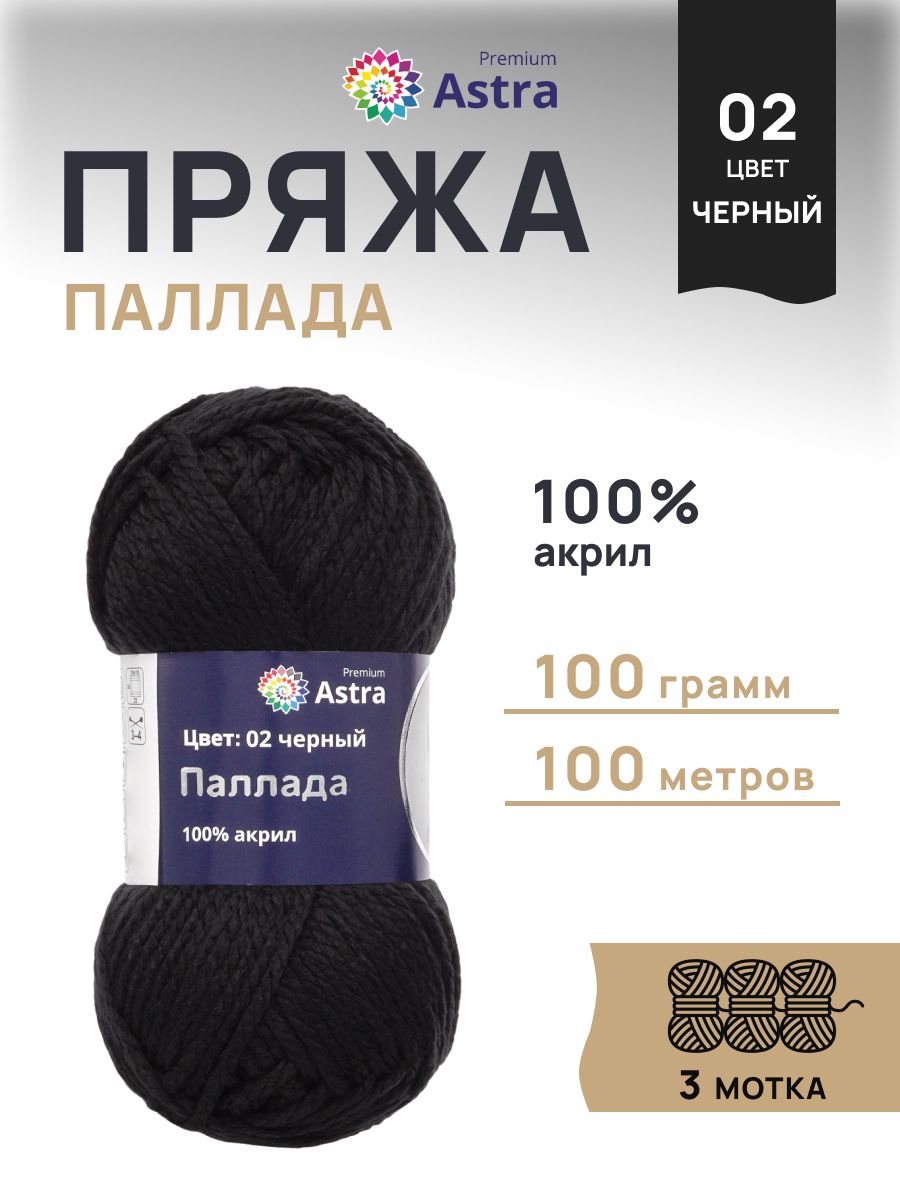 Пряжа Astra Premium Паллада акриловая 100 г 100 м 02 черный 3 мотка - фото 1
