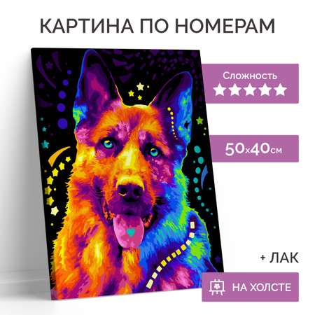 Картина по номерам LORI(колорит) Неоновая овчарка