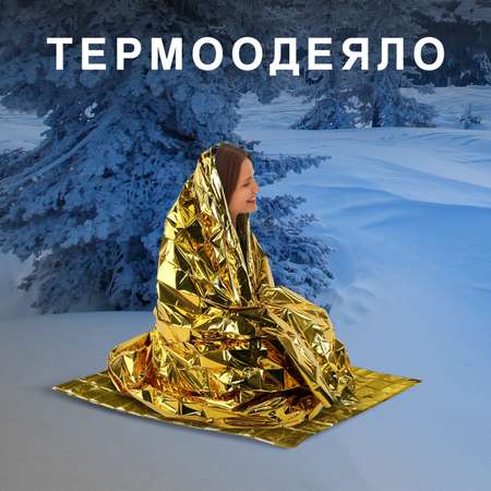 Термоодеяло DASWERK изотермическое спасательное для путешествий рыбалки 160х210 см
