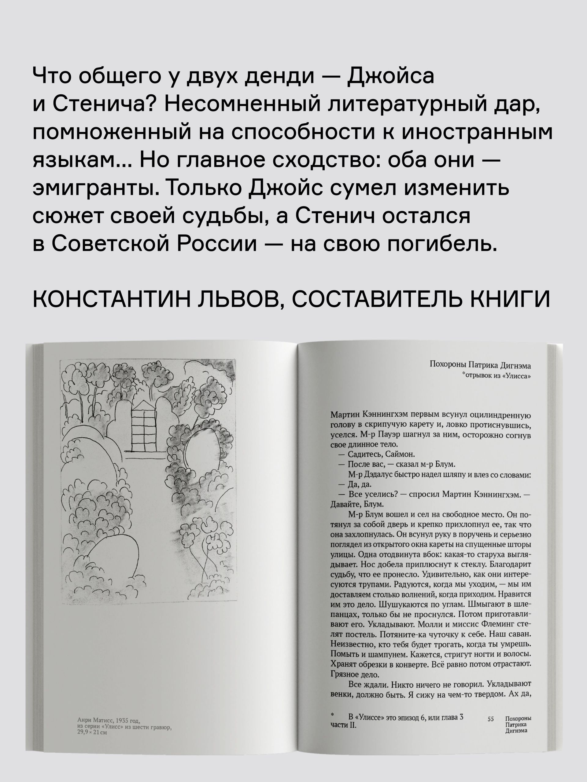 Книга Ad Marginem Похороны Патрика Дигнэма - фото 6