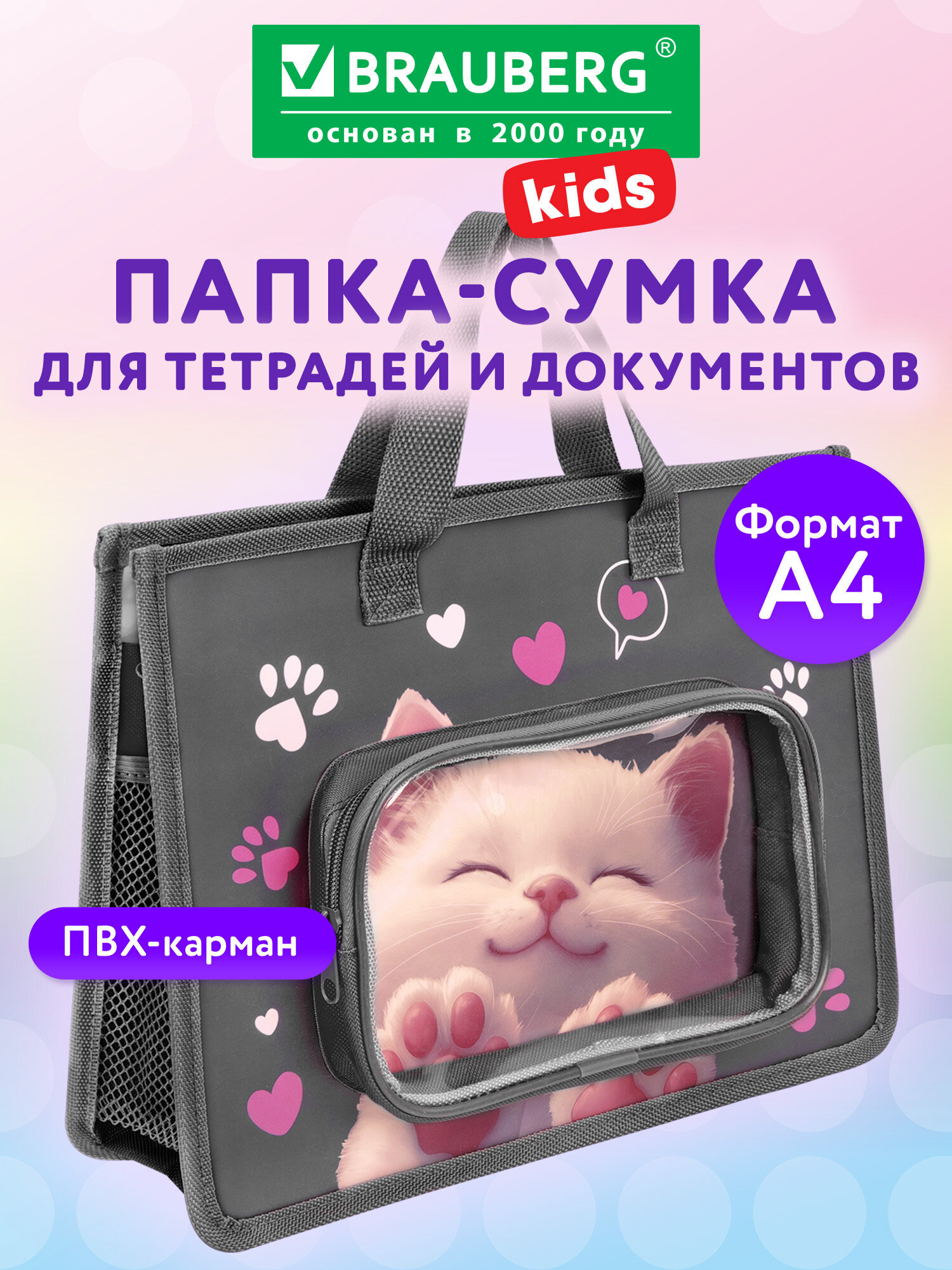 Папка для тетрадей Brauberg А4 - фото 1