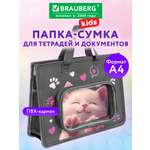 Папка для тетрадей Brauberg А4