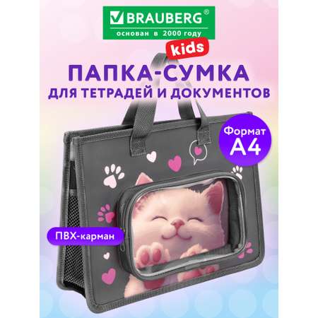 Папка для тетрадей Brauberg А4
