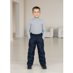 Брюки Arctic kids