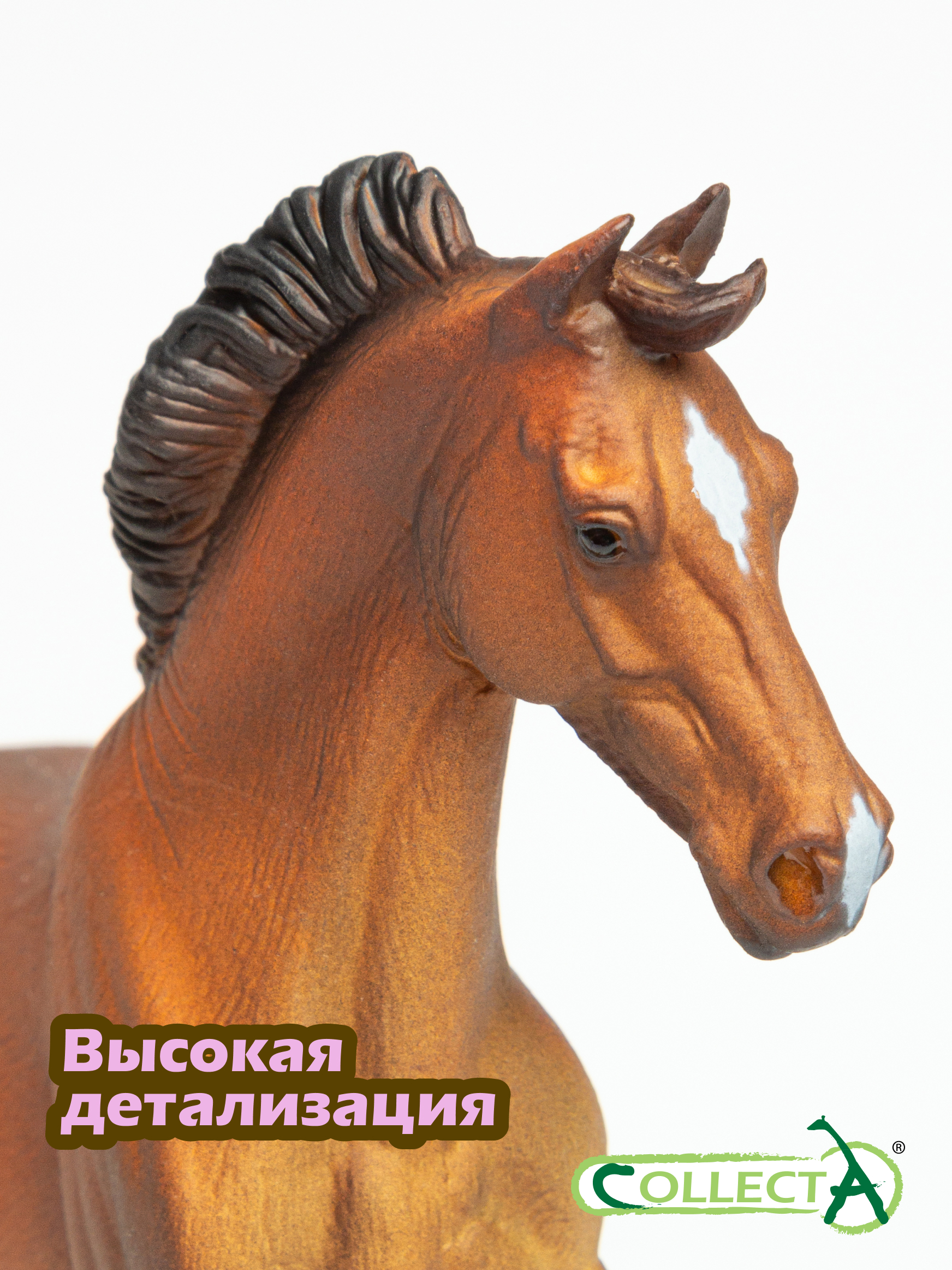 Фигурка Collecta чистокровная гнедая - фото 3