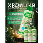 Экстракт Здравландия 1000 мл 4 шт.