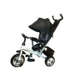 Трехколесный велосипед Velobibi 10 дюймов