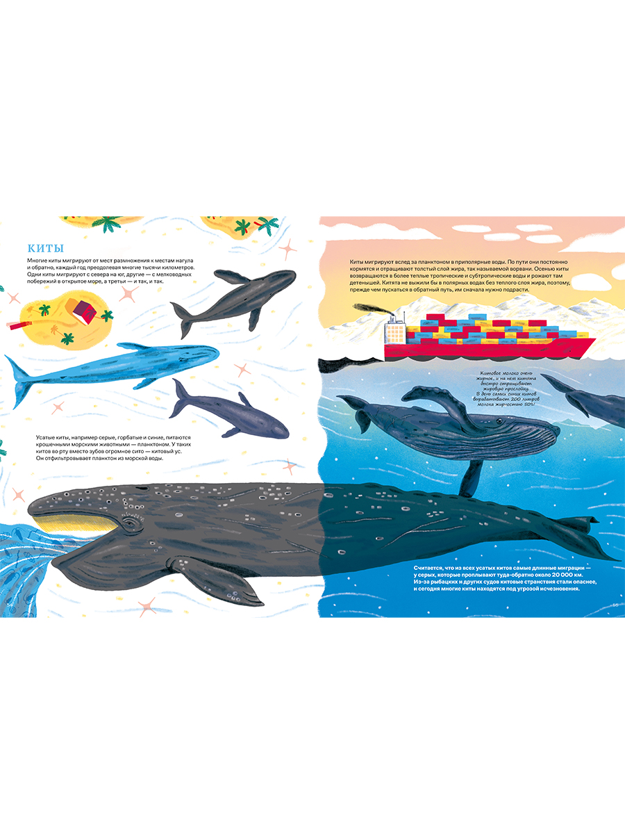 Книга Альпина. Дети Невероятные странствия животных - фото 4