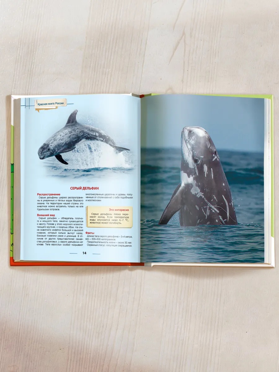 Книга Проф-Пресс Энциклопедия для детей. Красная книга России - фото 8