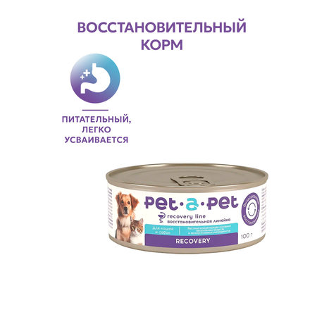Корм для собак и кошек Pet-a-Pet 100г диетический восстановительная диета Recovery