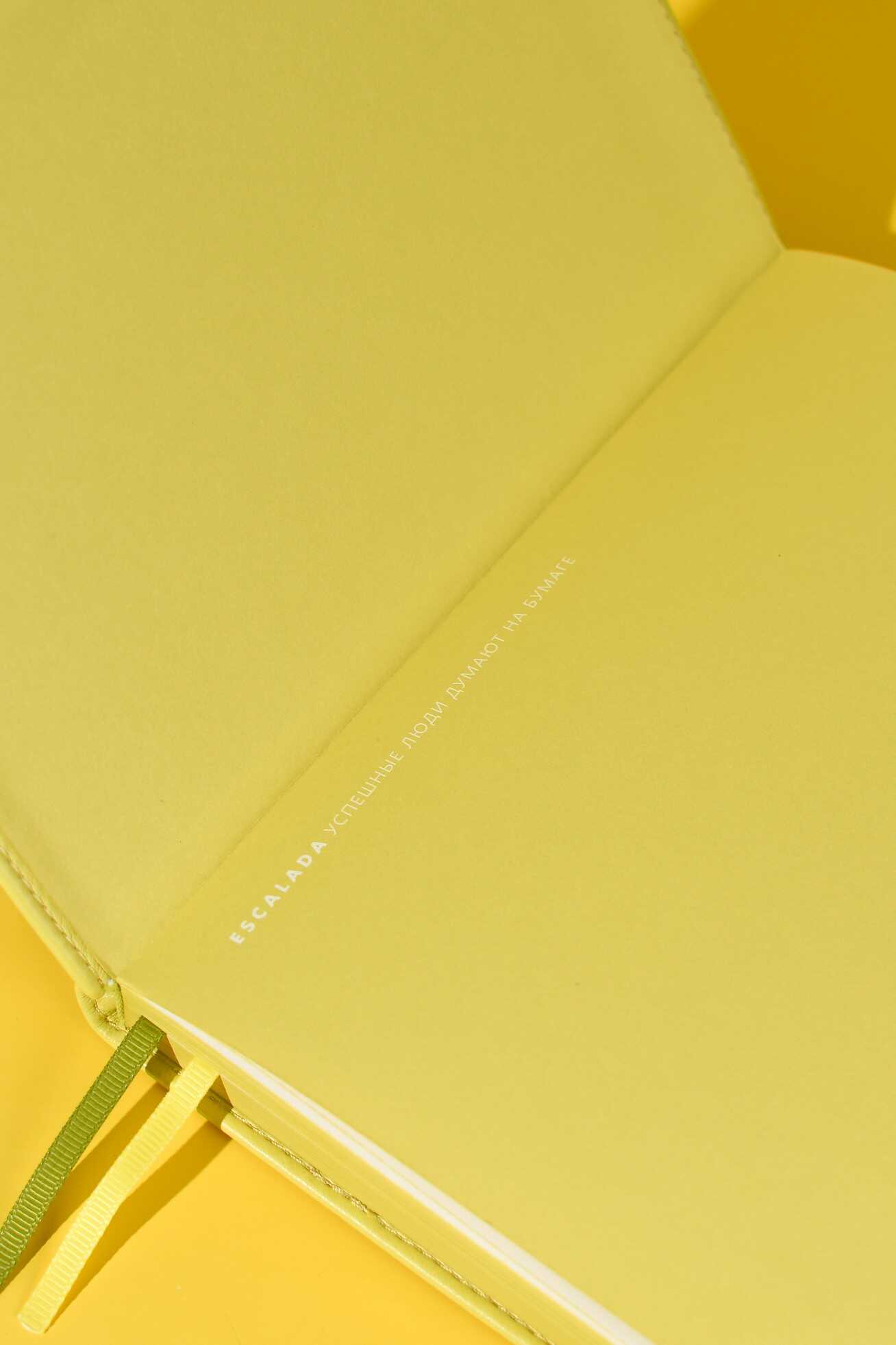 Ежедневник Феникс + ESCALADA 160 лист. - фото 8