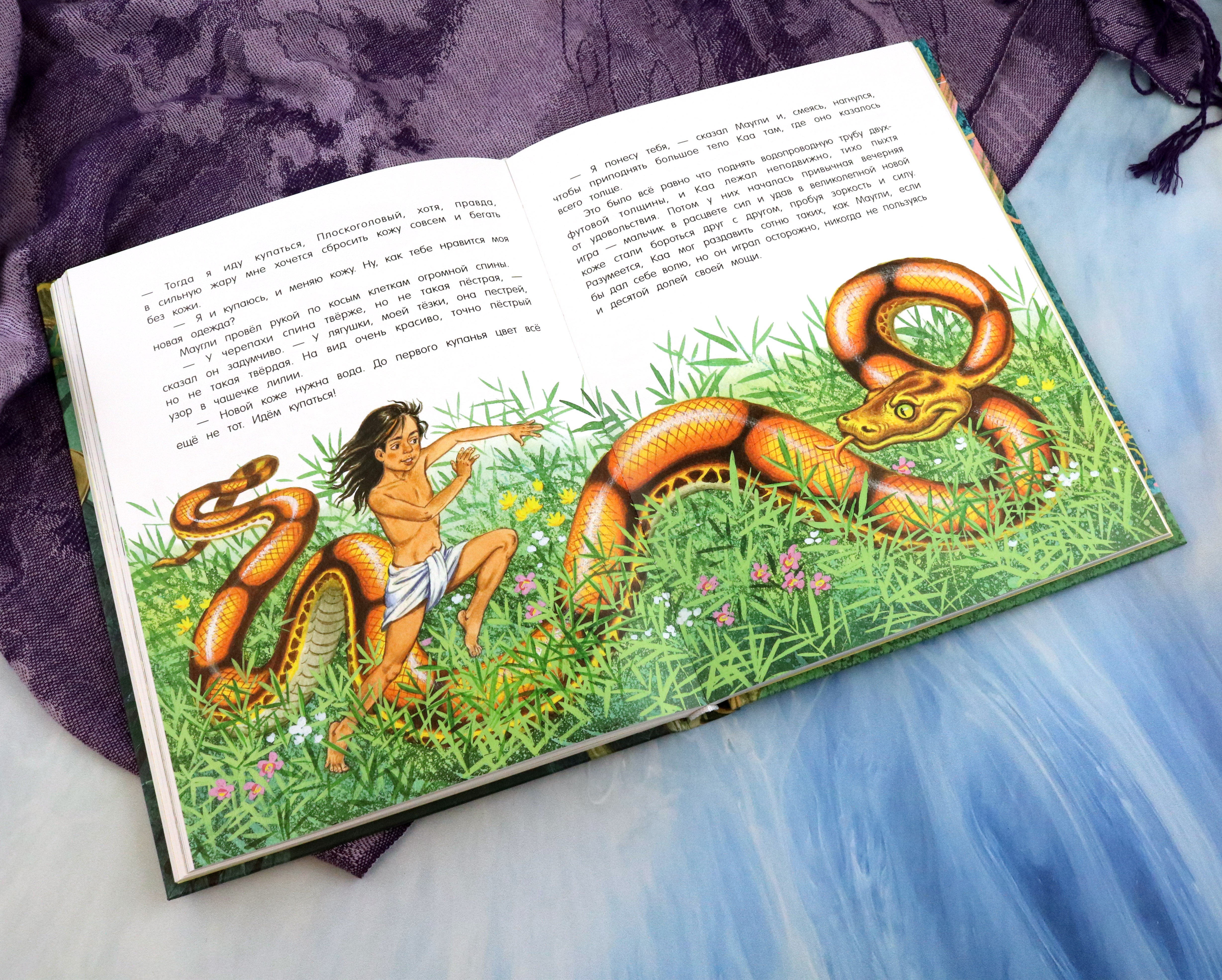 Книга Лабиринт Маугли - фото 4