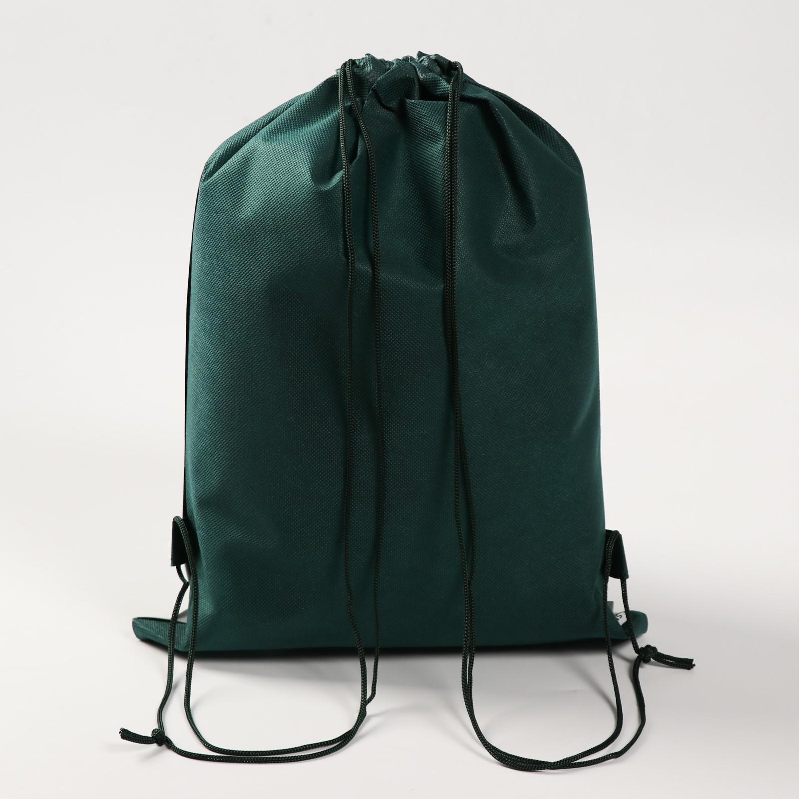 Мешок для обуви ArtFox STUDY Дино - фото 4