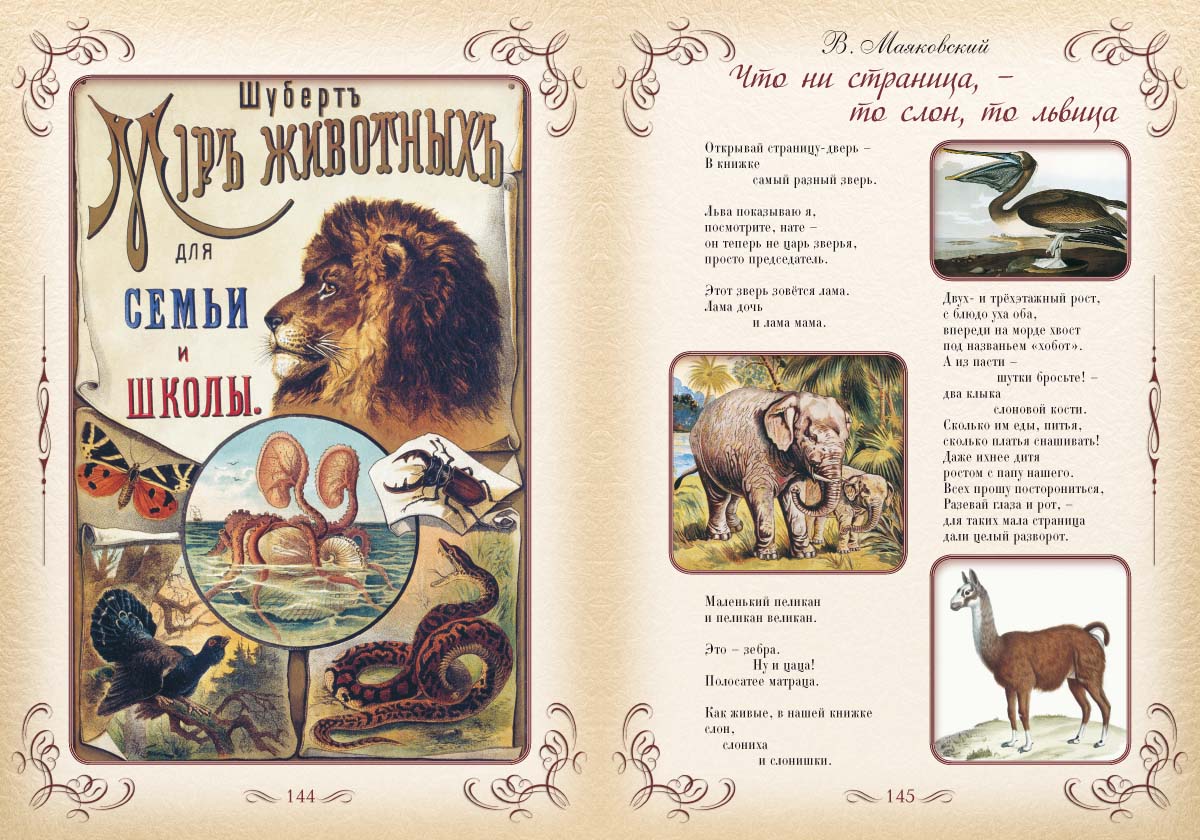 Книга Белый город Первая книга наших прапрабабушек - фото 9