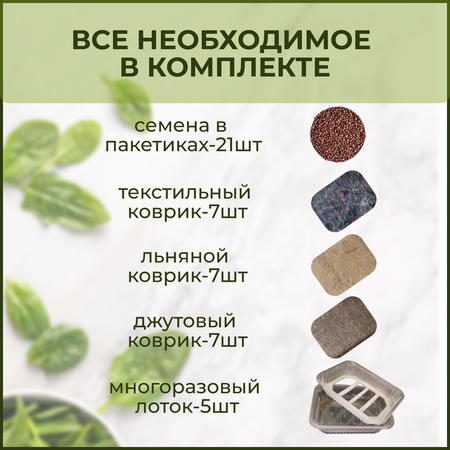 Набор для выращивания mGreens