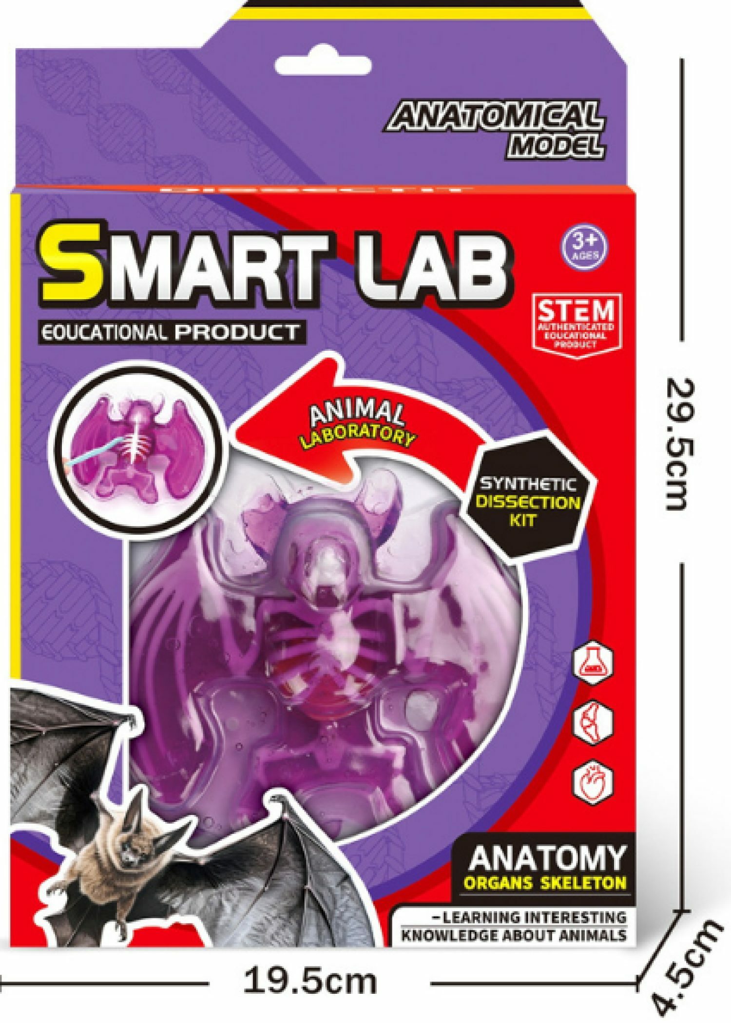 Набор для опытов 1TOY Летучая мышь - фото 1