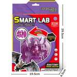 Набор для опытов 1TOY Летучая мышь