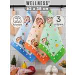 Комплект полотенец кухонных Wellness Монти_B Набор_3