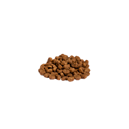 Корм сухой для кошек Profifeed С говядиной 10кг