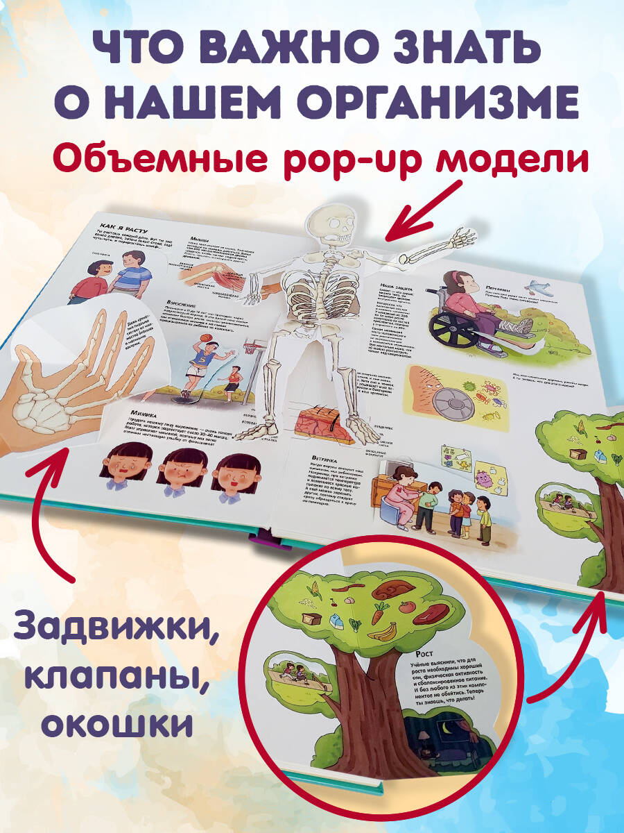 Книга Эксмо Тело человека Все секреты 3D - фото 2