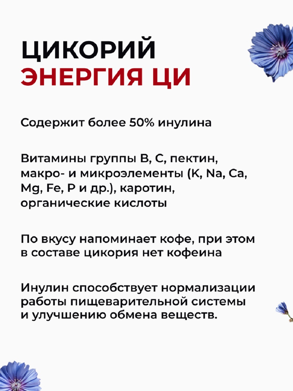 Цикорий Энергия Ци экстракт растворимый жидкий без добавок - фото 3