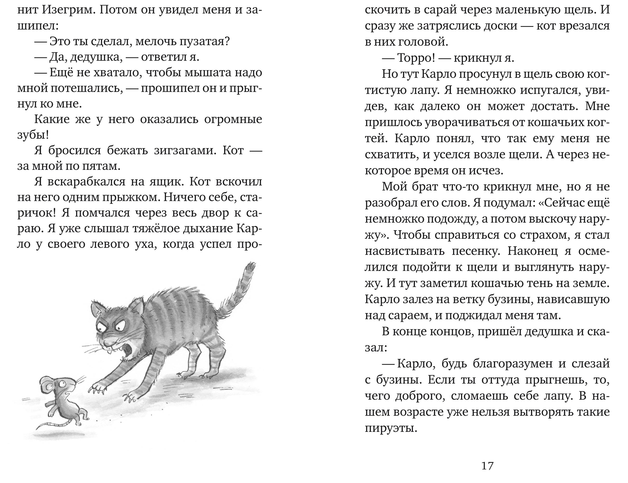Книга Текст Мышонок-путешественник - фото 6