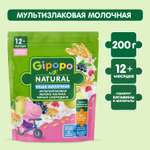 Каша Gipopo молочная мультизлаковая яблоко малина черная смородина 200г с 12 месяцев