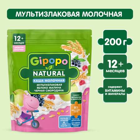 Каша Gipopo молочная мультизлаковая яблоко малина черная смородина 200г с 12 месяцев