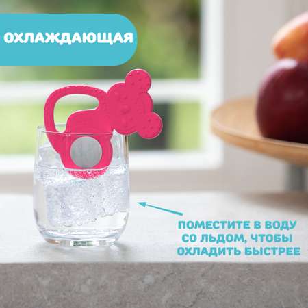 Прорезыватель Chicco
