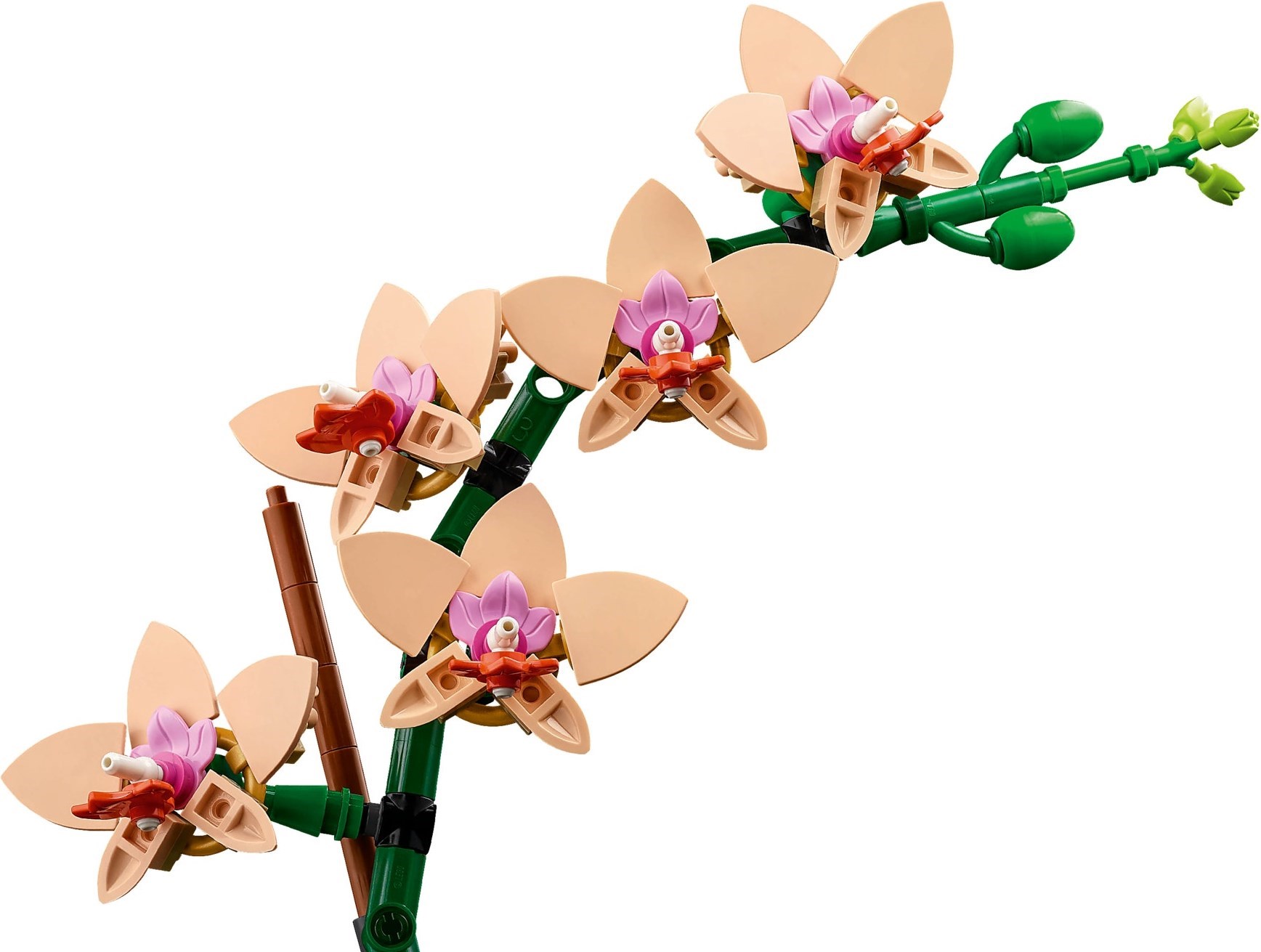 Конструктор LEGO Botanicals 10343 274 дет. - фото 3
