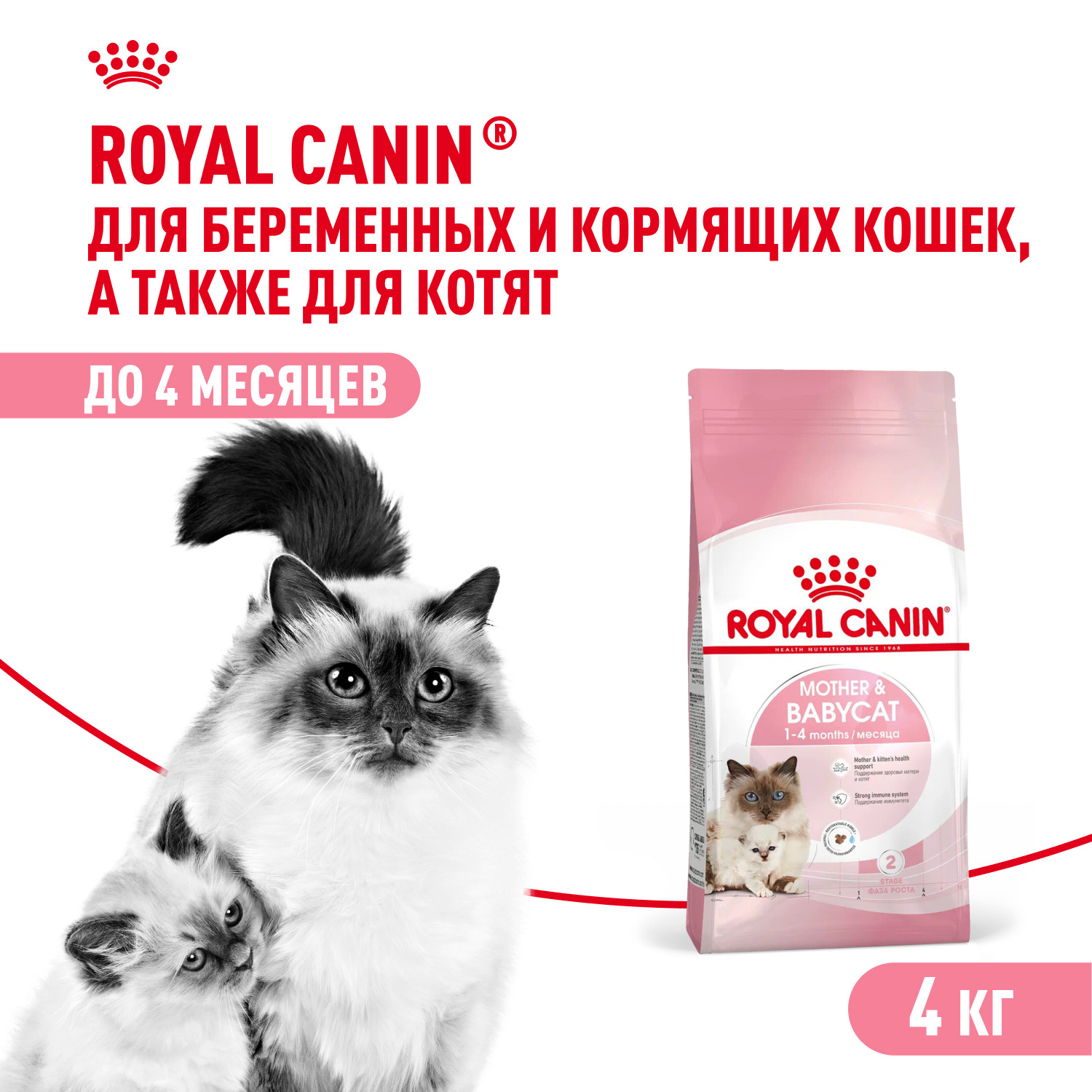 Корм сухой для котят ROYAL CANIN Mother and Babycat 4кг - фото 1