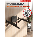 Турник БлинДаГриф «Илья Муромец» настенный брусья и пресс
