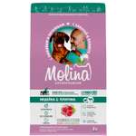 Корм для взрослых собак крупных пород Molina Sensitive сухой с индейкой и телятиной 2кг