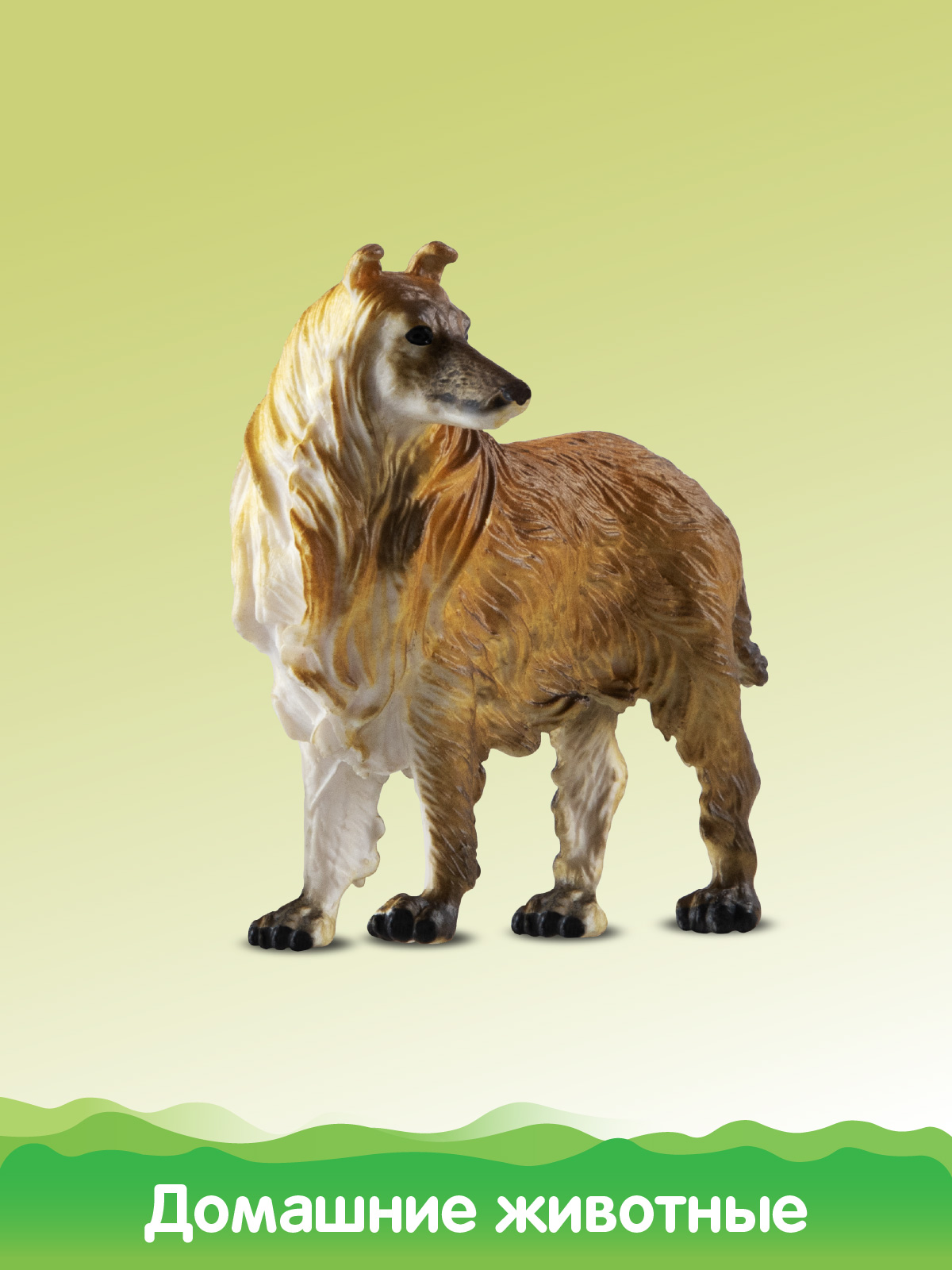 Игровой набор DARWIN Домашние животные 6шт - фото 11